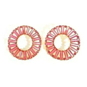 J Crew New bezeled Stone Round Earrings